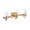 Ryden Bathroom Vanity Light  option 3 Lights