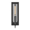 Ryden Wall Sconce  option Black