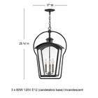 Yale Outdoor Pendant Light