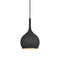 Ziggy Pendant Light  option Black / Polished Nickel