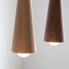 Stem Pendant Light