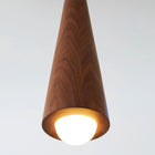 Stem Pendant Light