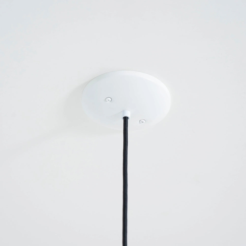 Stem Pendant Light