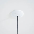 Stem Pendant Light