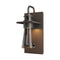 Erlenmeyer Medium Outdoor Wall Sconce  option Coastal Dark Smoke