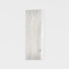 Central Park Wall Sconce