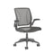 Diffrient World Task Chair  option Gray Frame with Pinstripe Graphite Mesh / Standard Hard Caster