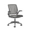 Diffrient World Task Chair  option Gray Frame with Graphite Mesh