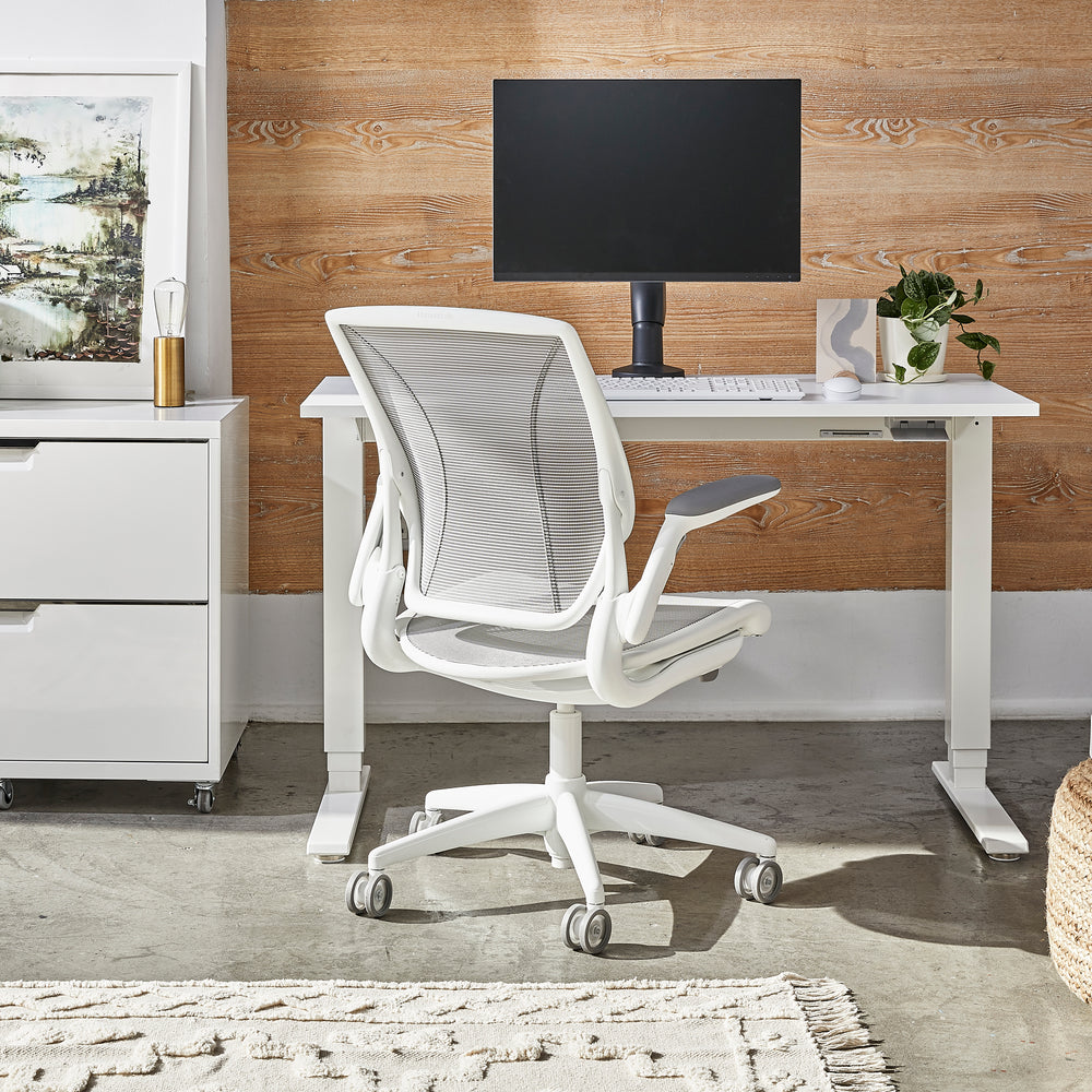 Diffrient World Task Chair