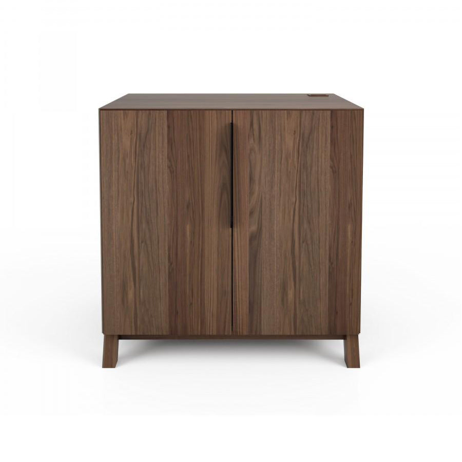 Howard 2-Door Cabinet