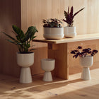 Plant Pot with Saucer