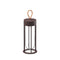 In Vitro Unplugged Portable Lamp  option Deep Brown