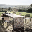 Audrey Chair with Arms (Set of 2)