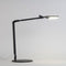 Splitty Reach Desk Lamp  option Matte Black