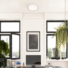 Aston Flush Mount