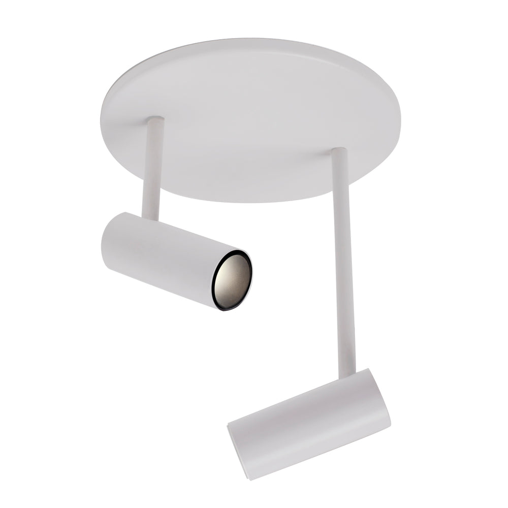 Downey Double Semi-Flush Mount