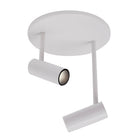 Downey Double Semi-Flush Mount