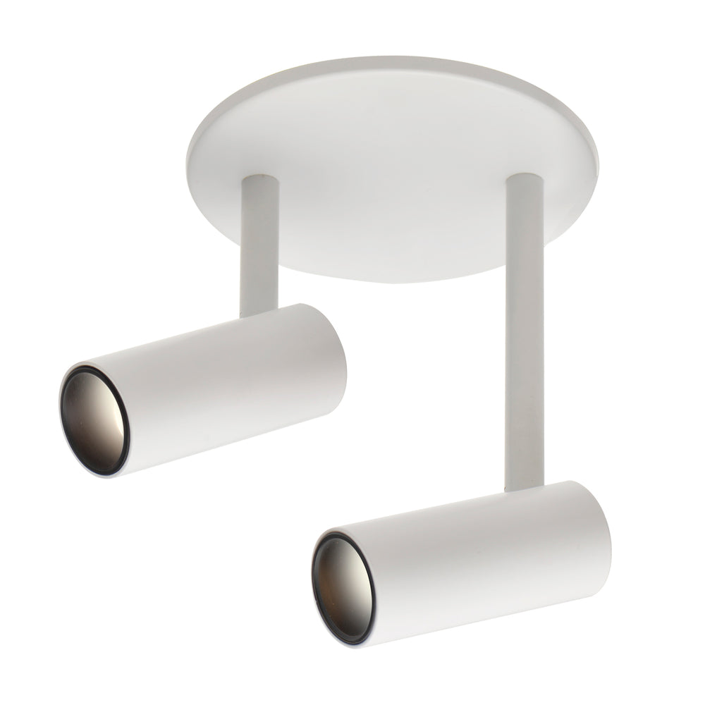 Downey Double Semi-Flush Mount
