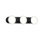 Novel Vanity Light