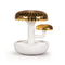Boletus Diffuser  option Boletus 2