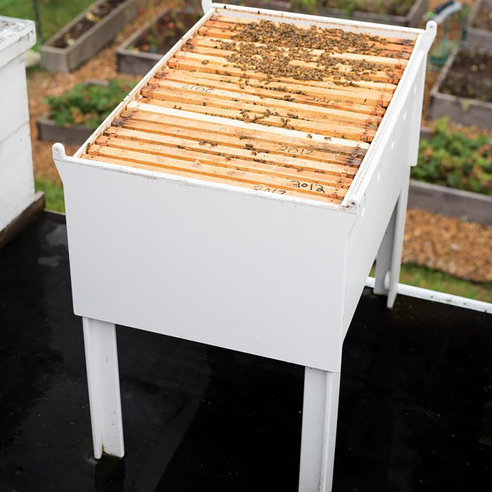 Bee Hive
