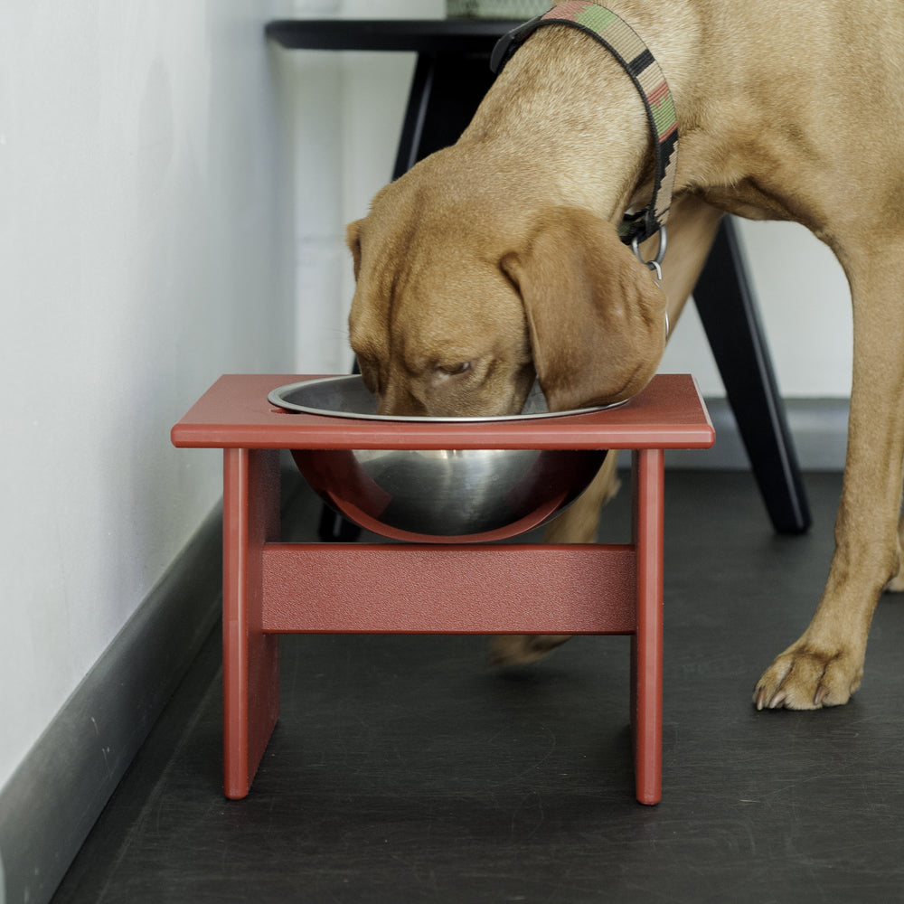 Minimalist Single Dog Bowl