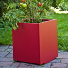 Mondo Planter