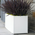 Mondo Planter