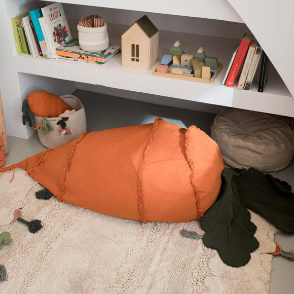 Cathy the Carrot Washable Bean Bag