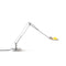 Berenice Table Lamp  option Aluminum