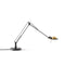 Berenice Table Lamp  option Black