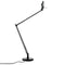 Berenice Table Lamp  option Black