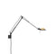 Berenice Wall Sconce  option Black