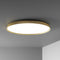 Compendium Plate Flush Mount  option Brass
