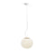 Lita Pendant Light  option Ash Wood