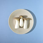 Milk Lunch Plate (Set of 4)