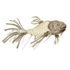 Life-Size Koi Suspension Light