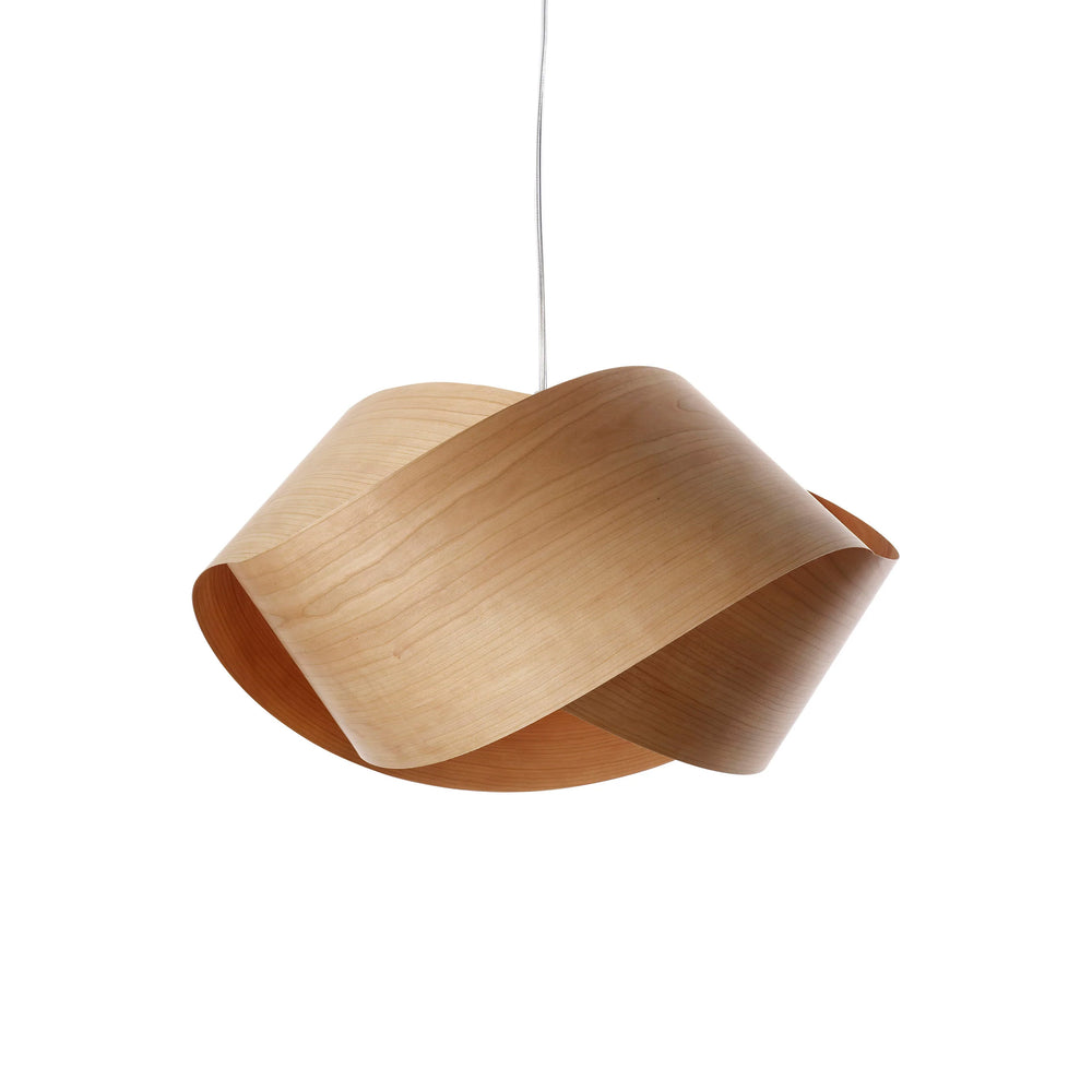 Nut Pendant Light