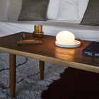 Bolita Touch and Adjustable LED Table Lamp