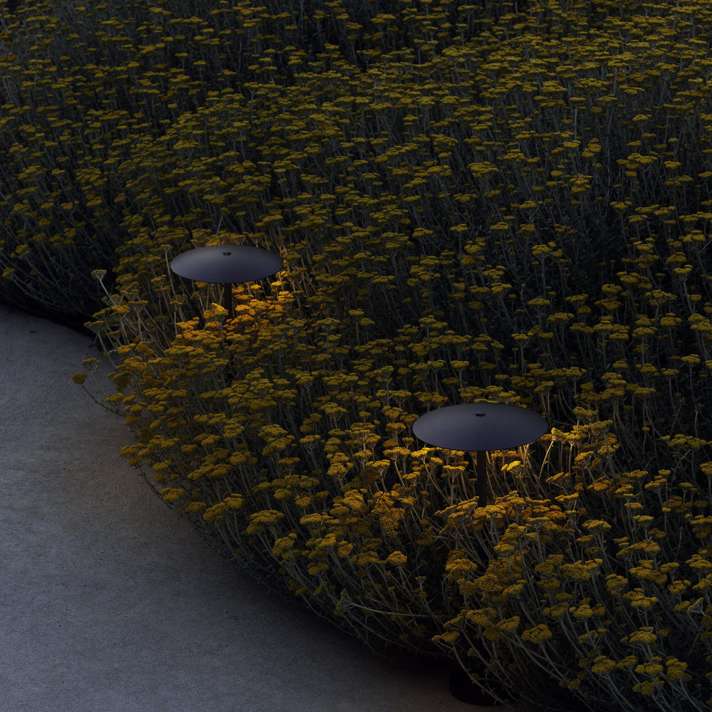 Ginger Outdoor Bollard Light
