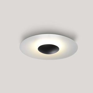 Ginger Outdoor Wall/Ceiling Light
