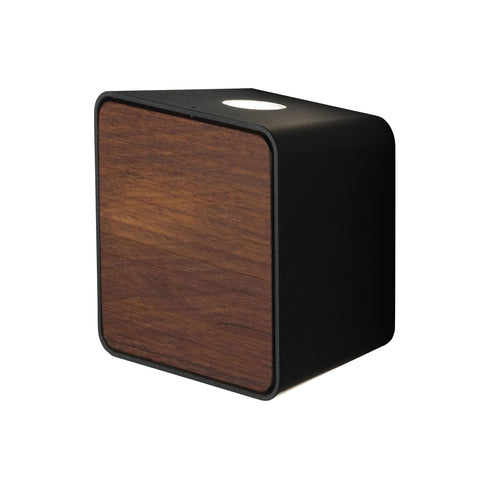 Lab Outdoor Wall Sconce