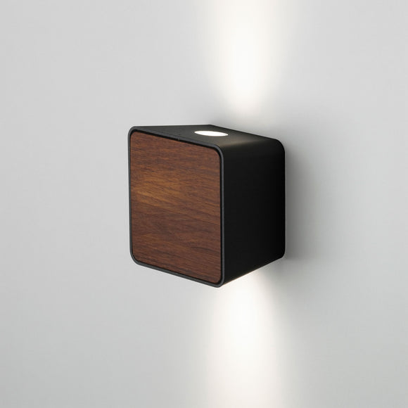 Lab Outdoor Wall Sconce