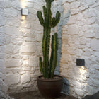 Lab Outdoor Wall Sconce