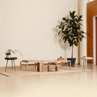Eco Edition Bowl Table