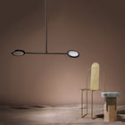 Discus Two Light Pendant Light