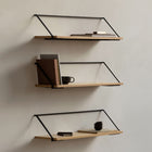 Rail Shelf