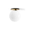 TR Bulb Ceiling / Wall Light  option Brushed Brass