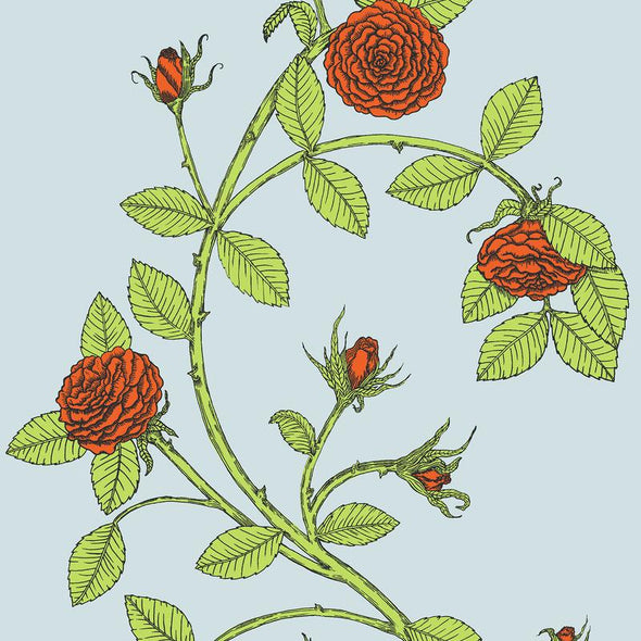 Elva Rose Wallpaper Sample Swatch