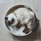 Cesto Cat Basket